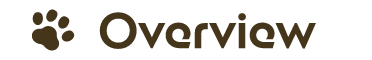 Overview